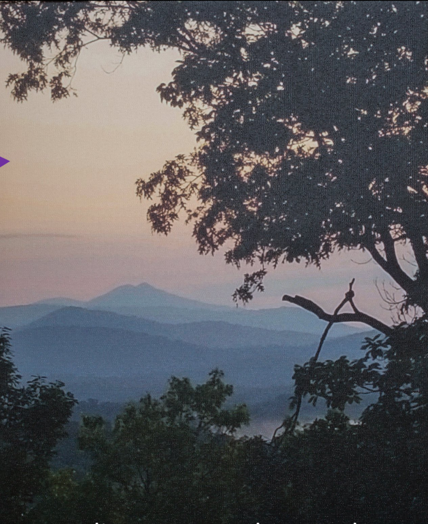 7th Annual Exhibit Peak to Peak