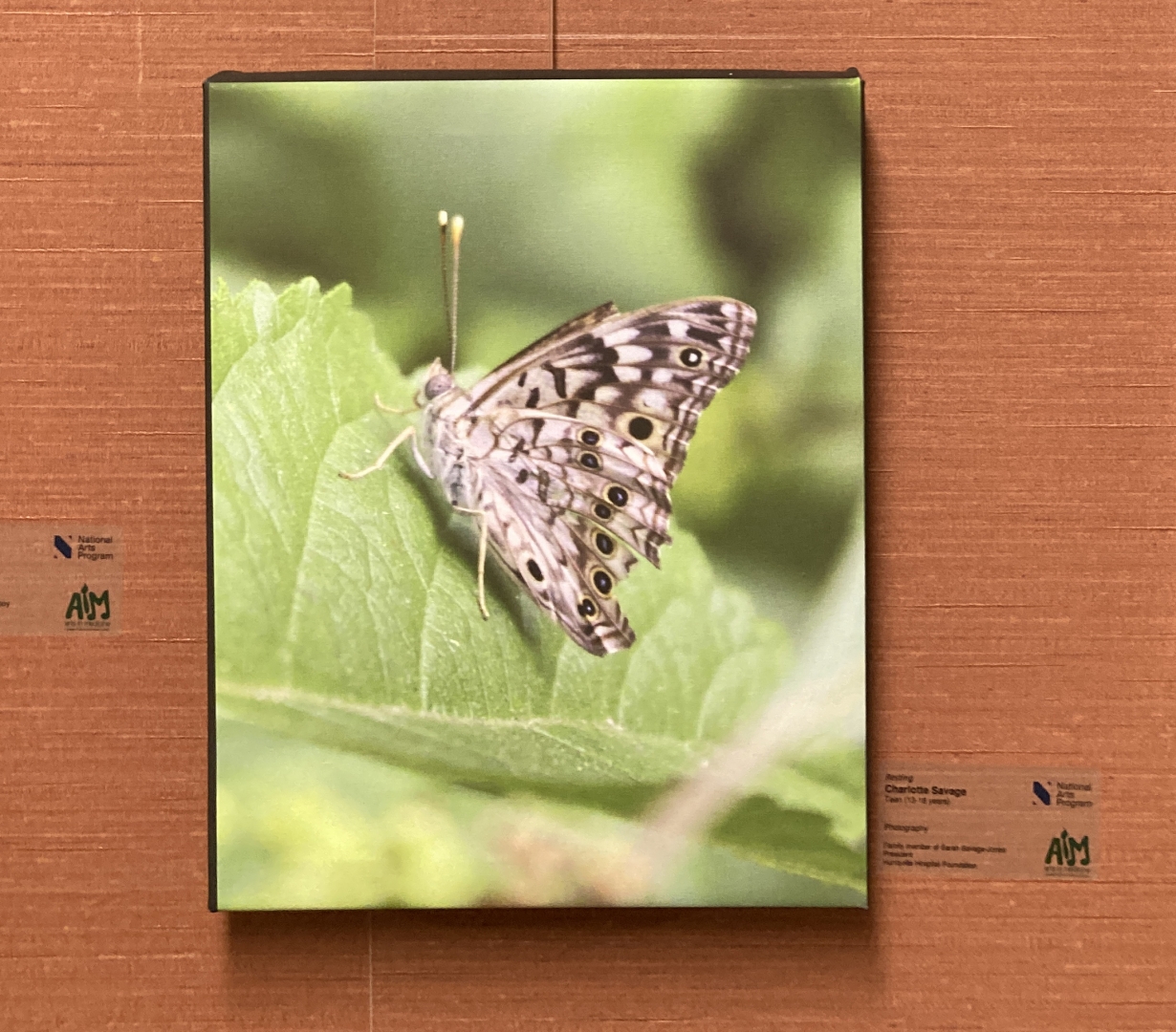 4th Annual Exhibit Resting