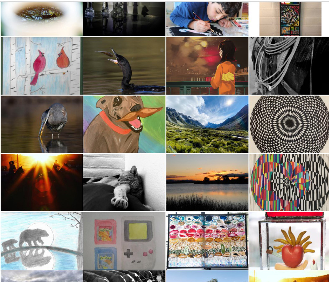 11th Annual Exhibit University of Arizona 11th Annual NAP Virtual Exhibit