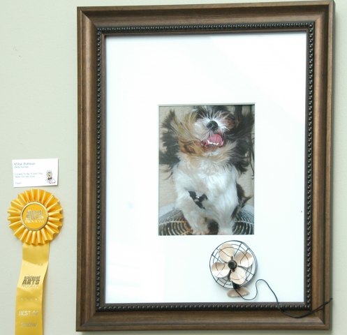 6th Annual Exhibit I Used to Be  a "Hot Dog" Now "I'm Too Cool"