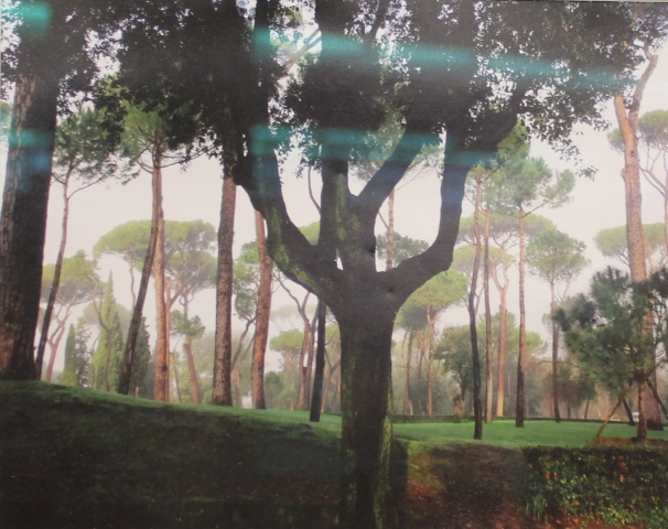 8th Annual Exhibit Borghese