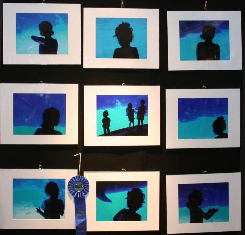 3rd Annual Exhibit Atlantic Health Intermediate First Place 2009