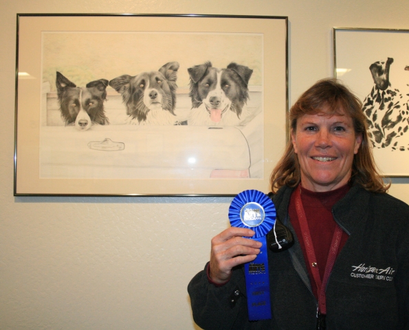 4th Annual Exhibit 3 Border Collies
