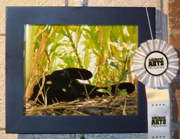 4th Annual Exhibit Blackie