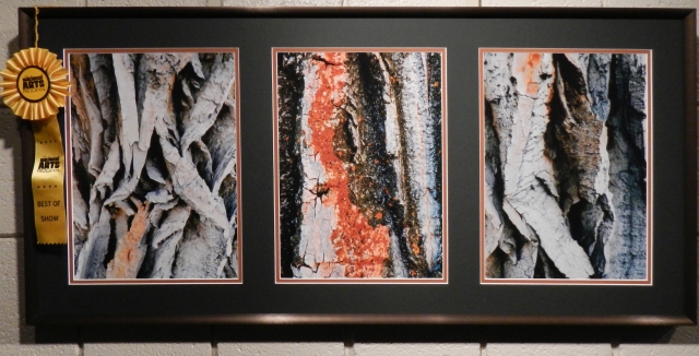 6th Annual Exhibit Better with Age