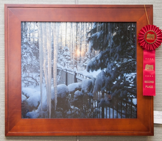 9th Annual Exhibit Winter Dawn