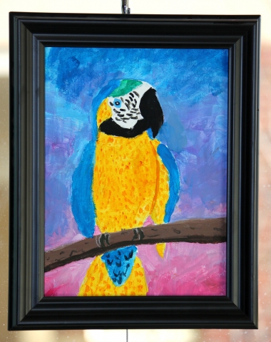 1st Annual Exhibit Parrot