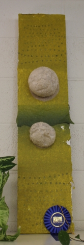 5th Annual Exhibit Growing Season