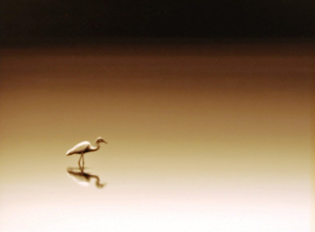 11th Annual Exhibit Alone