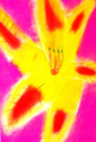 6th Annual Exhibit New Orleans Flower