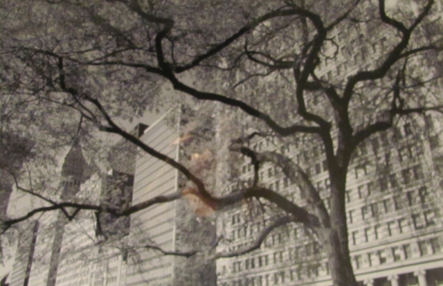 5th Annual Exhibit City Tree