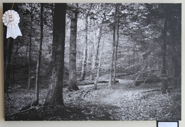 7th Annual Exhibit Crossing Trail