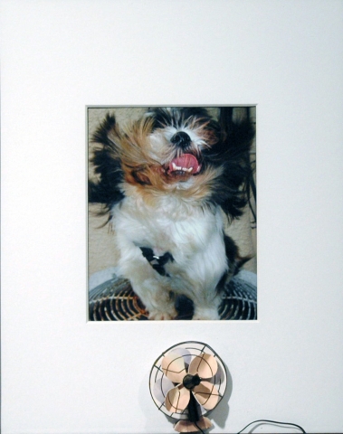 12th Annual Exhibit I Used to be a Hot Dog, Now I'm too Cool