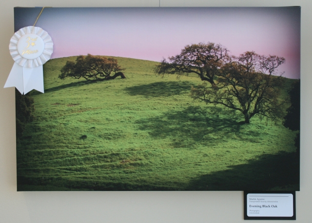 7th Annual Exhibit Evening Black Oak