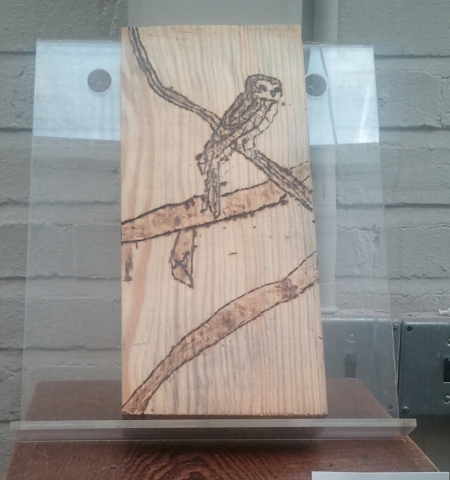 8th Annual Exhibit Night Owl