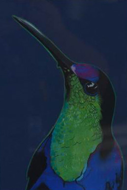 9th Annual Exhibit Hummingbird