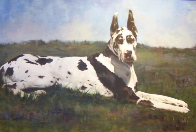 2nd Annual Exhibit Sequoia