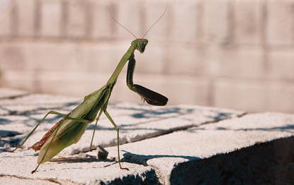 2nd Annual Exhibit Here's Looking at You