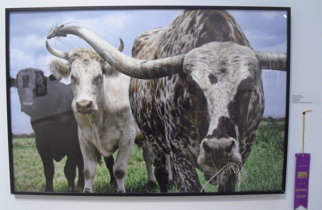 8th Annual Exhibit Is It My Turn Yet?