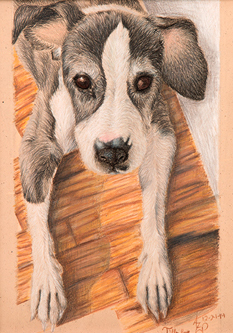 2nd Annual Exhibit Treasuring Tilly