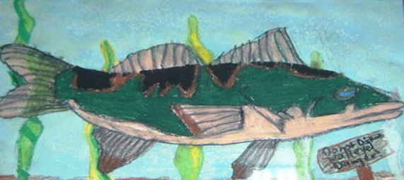 1st Annual Exhibit My Walleye