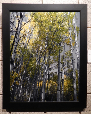 6th Annual Exhibit Metallic Fall