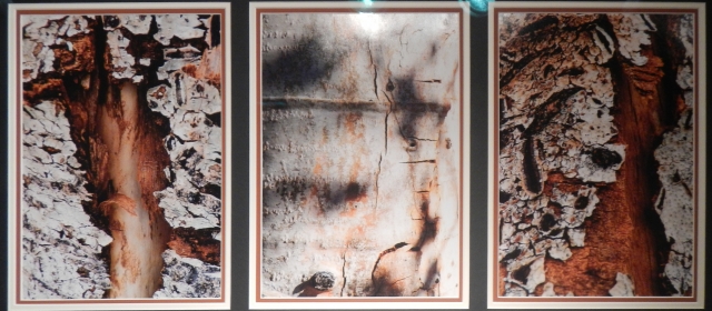 7th Annual Exhibit The Appeal of Aspen