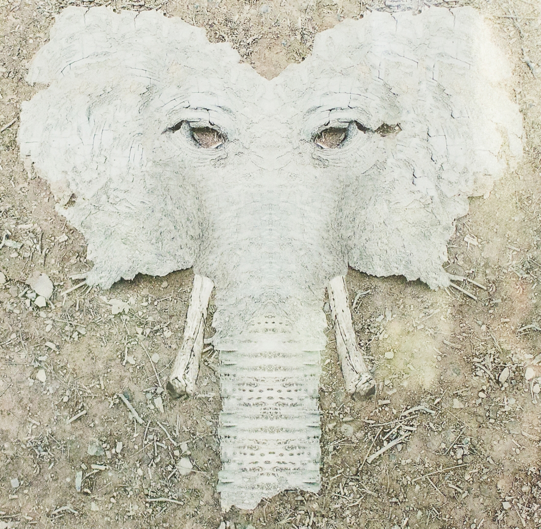 17th Annual Exhibit Trunx