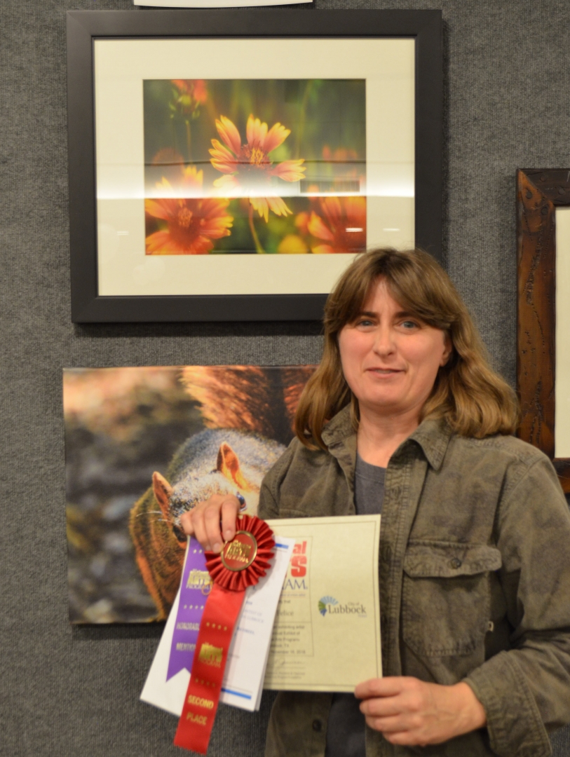 29th Annual Exhibit Banquet with Spot Focus