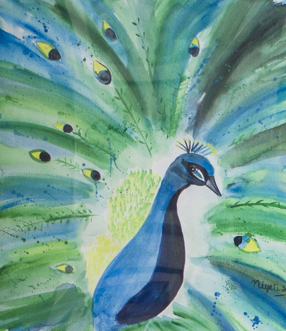 17th Annual Exhibit Majestic Peacock