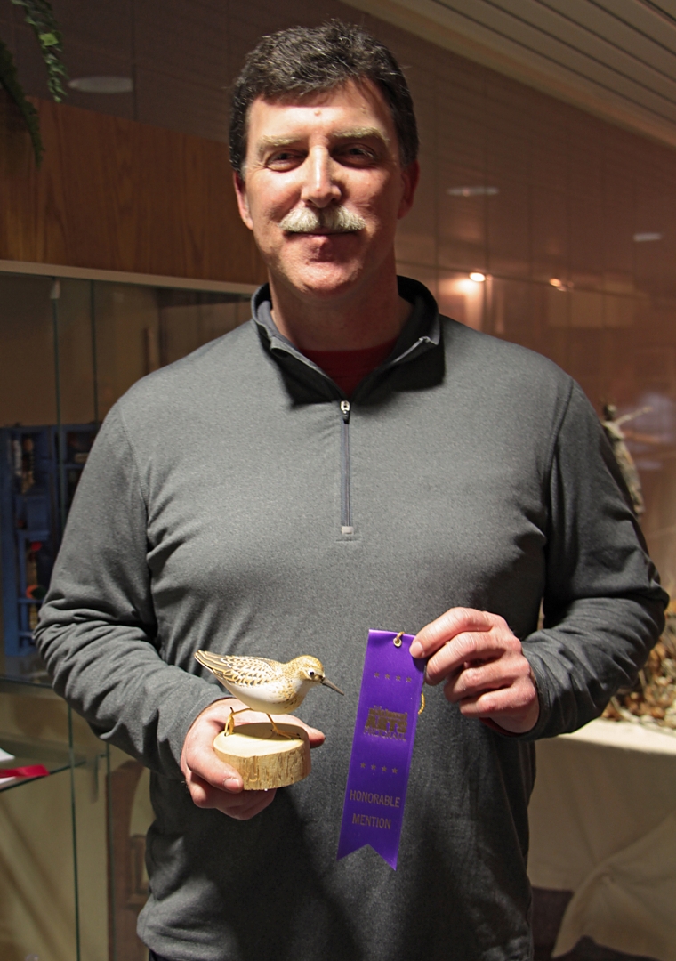 14th Annual Exhibit Juvenile Least Sandpiper