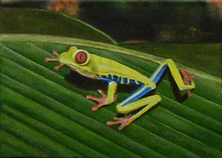 2nd Annual Exhibit Sidney the Tree Frog