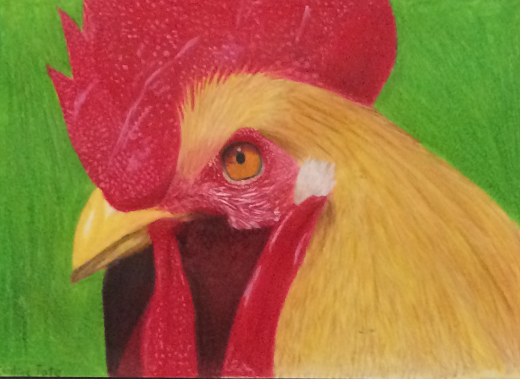 2nd Annual Exhibit Henry the Rooster