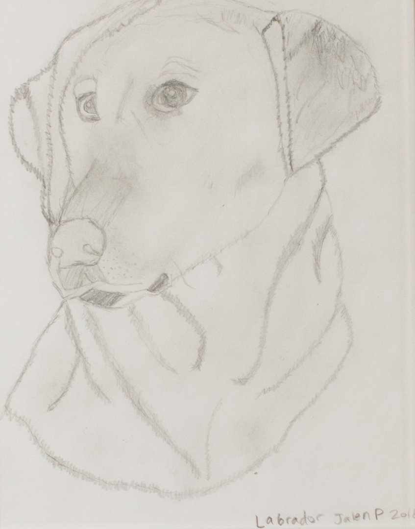 4th Annual Exhibit Labrador Retriever