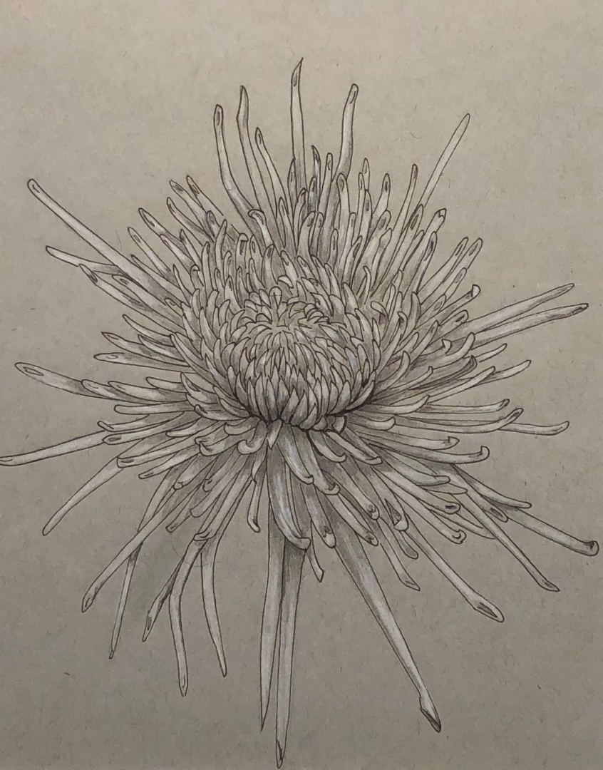 15th Annual Exhibit In The Garden