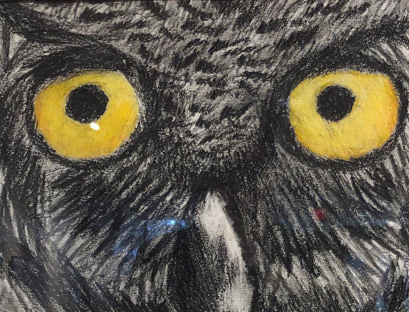 15th Annual Exhibit Owl