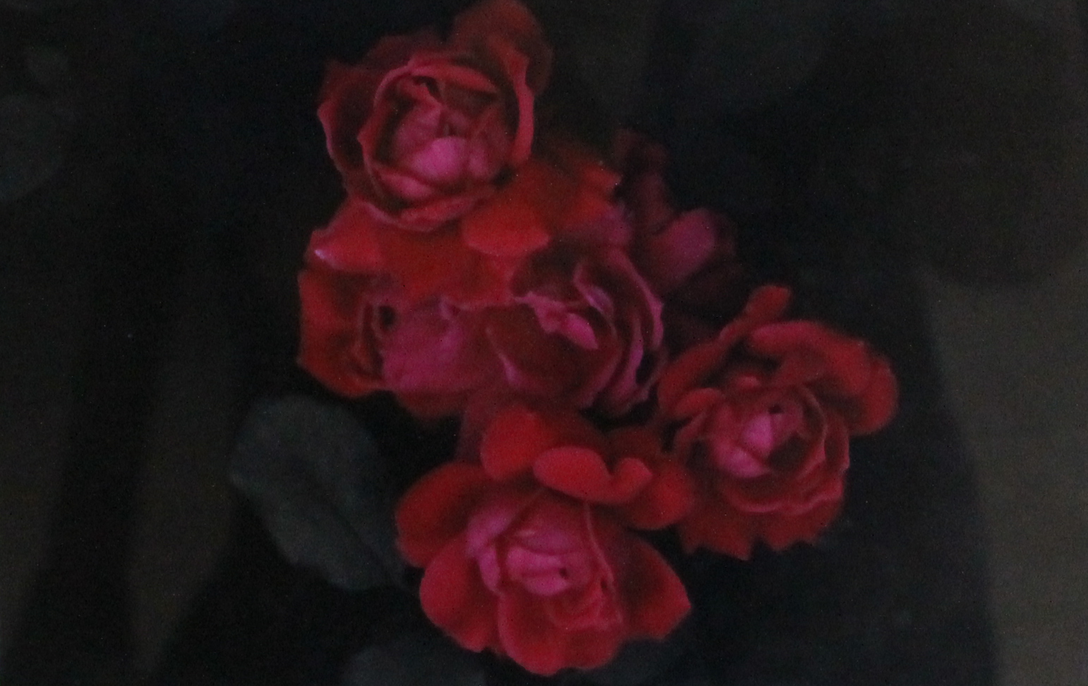 19th Annual Exhibit Roses are Red