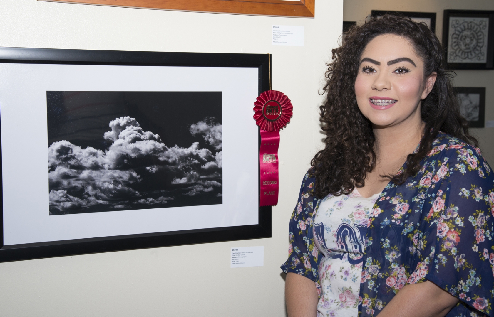 6th Annual Exhibit Herd of Clouds