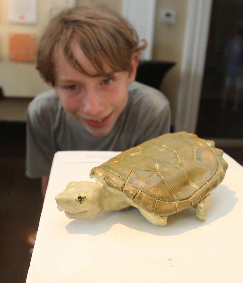 9th Annual Exhibit Common Snapping Turtle