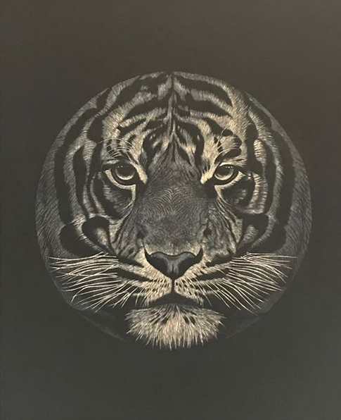 6th Annual Exhibit LurKing