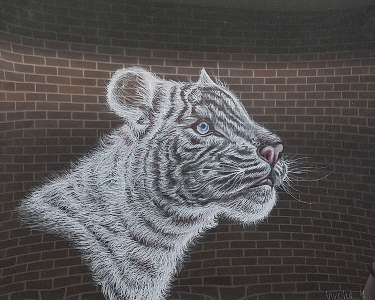 5th Annual Exhibit Wild Cat