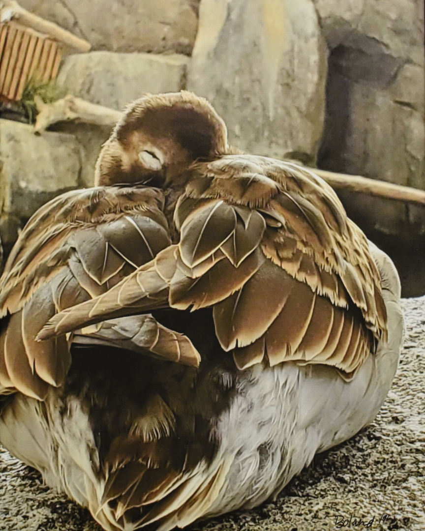 9th Annual Exhibit Alaska