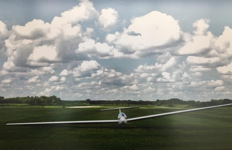 8th Annual Exhibit Bird Watching