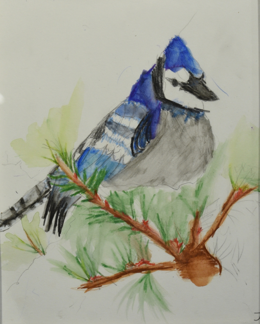 10th Annual Exhibit Blur Bird