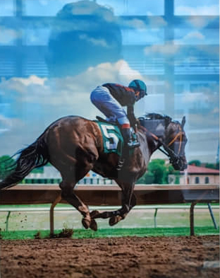 8th Annual Exhibit Finish Line