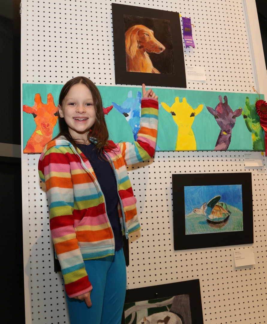 3rd Annual Exhibit Jake - Irish Setter Profile