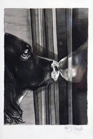 25th Annual Exhibit Griffy