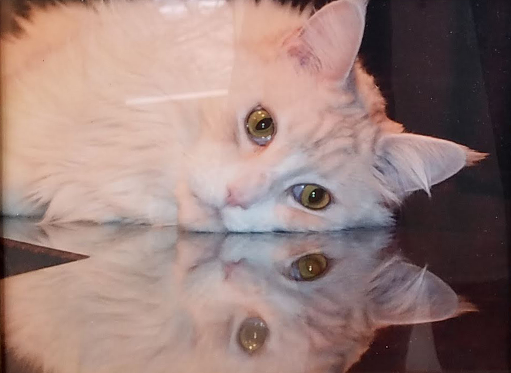 5th Annual Exhibit Maxwell