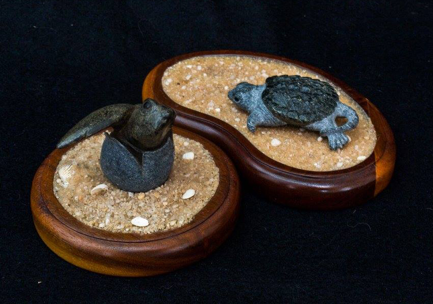 4th Annual Exhibit Turtle Babies