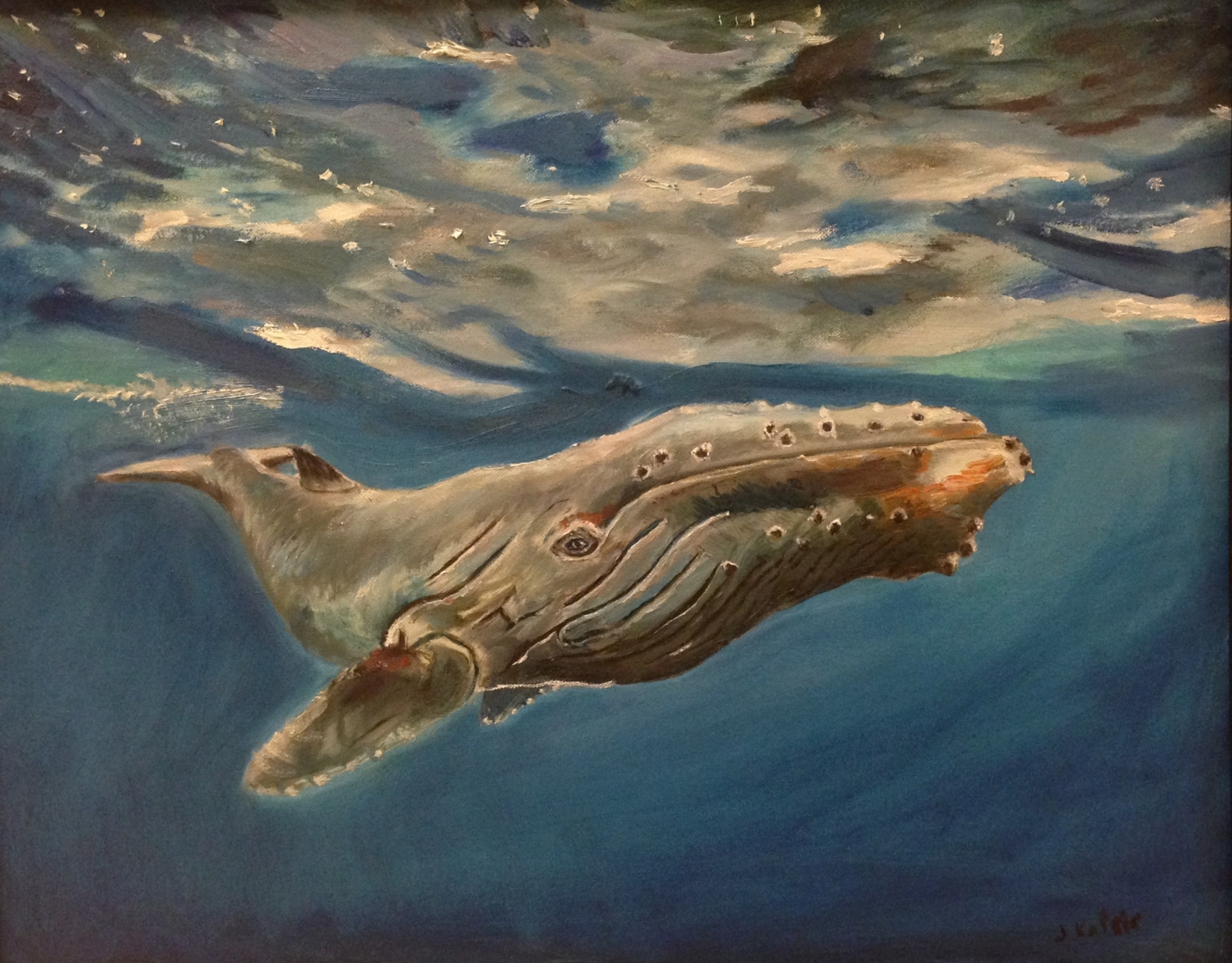 13th Annual Exhibit Humpback Whale in Open Water